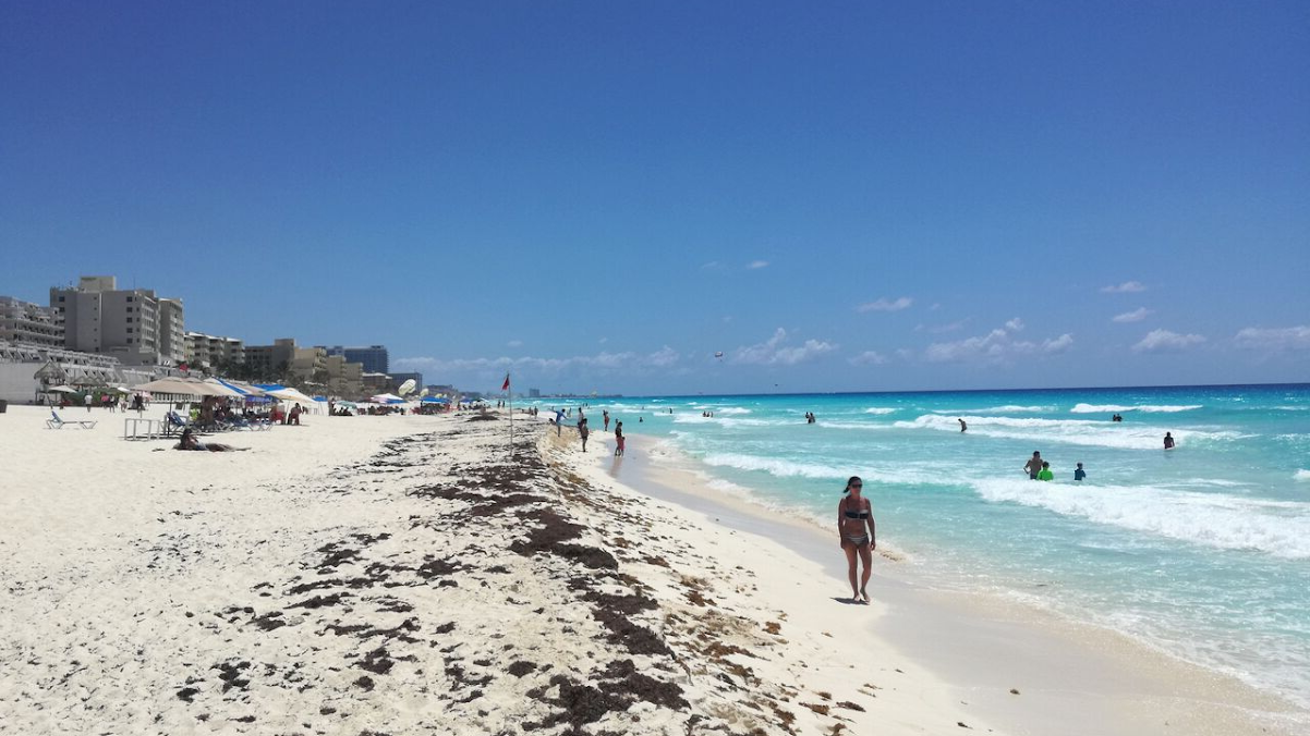 Discover everything there is to know about Cancun: walking tour